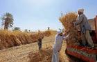 War In Ukraine Sends Egypt's Wheat Price Soaring 