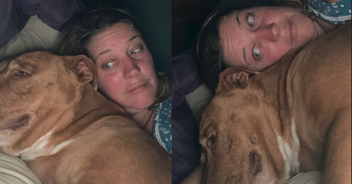 A Tennessee couple woke up to find a strange dog in their bed. This is what happened.
