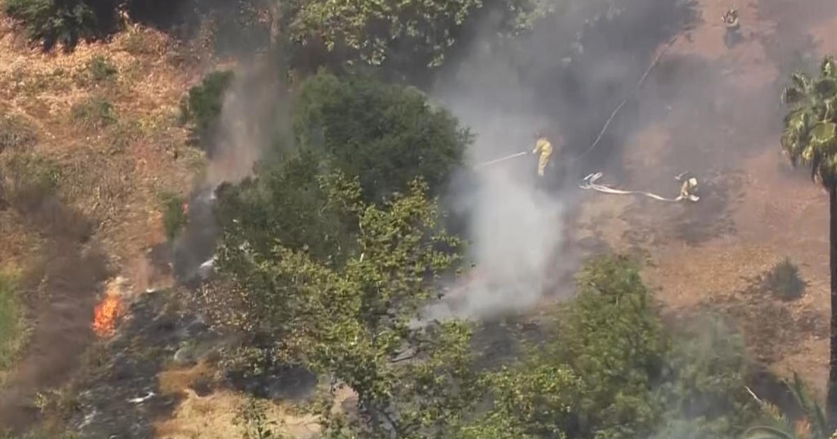 San Jose crews extinguish brush fire at Overfelt Gardens