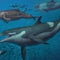 Prehistoric dolphin species discovered in landlocked Switzerland