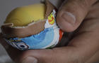 Cofepris Requests Recall Of Kinder Surprise Eggs In Mexico Over Salmonella Outbreak 