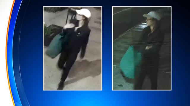 Police seek suspect who threw flaming materials onto Manhattan synagogue grounds 