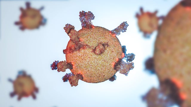covid-19 omicron subtype variant subvariant omicron coronavirus stealth version of Omicron BA.2 specific vaccine research