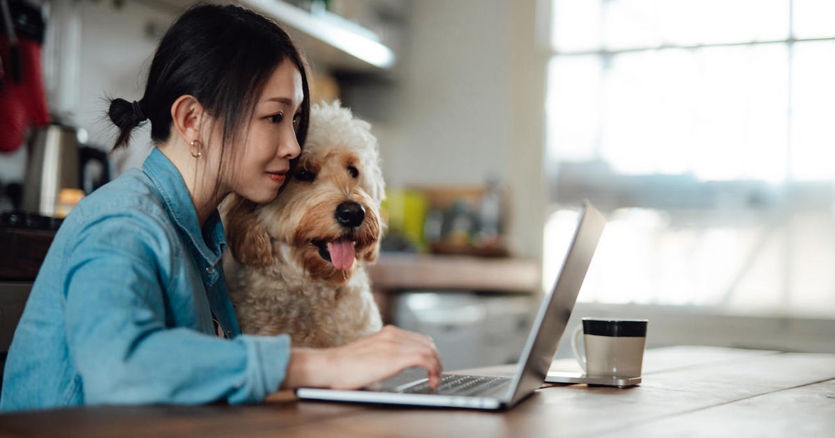 The best home and appliance deals you can still get during Walmart Plus